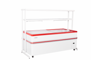 Ларь-бонета Bonvini BF 2100L Ларь-бонета Bonvini BF 2100L